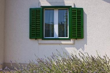 Villa /en/au Dugi Rat (Splitsko-Dalmatinska)ou appartement ou maison de vacances