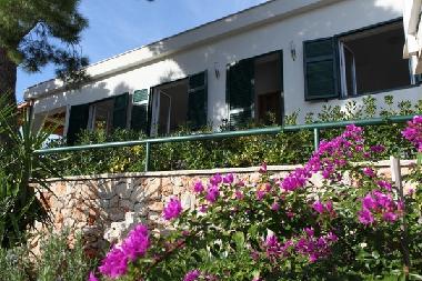 Maison de vacances �/en/au Milna (Splitsko-Dalmatinska)ou appartement ou maison de vacances