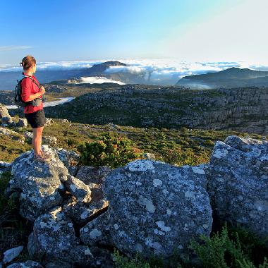 Chambre avec petit d�jeuner �/en/au Cape Town (Western Cape)ou appartement ou maison de vacances