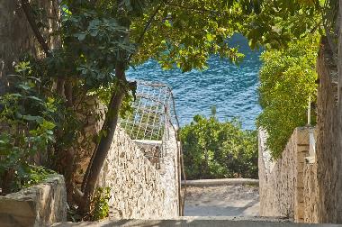 Appartement de vacances �/en/au Sumartin (Splitsko-Dalmatinska)ou appartement ou maison de vacances