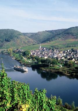 Maison de vacances /en/au Bruttig-Fankel (Mosel - Saar)ou appartement ou maison de vacances