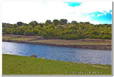 Appartement de vacances �/en/au Oristano (Oristano)ou appartement ou maison de vacances