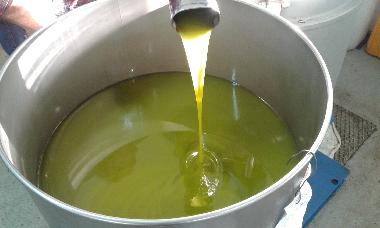 Appartement de vacances /en/au 52440 POREC (Istarska)ou appartement ou maison de vacances