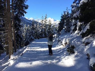 Appartement de vacances /en/au Prutz (Tiroler Oberland)ou appartement ou maison de vacances