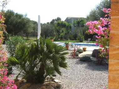 Maison de vacances �/en/au Santa Margalida (Mallorca)ou appartement ou maison de vacances