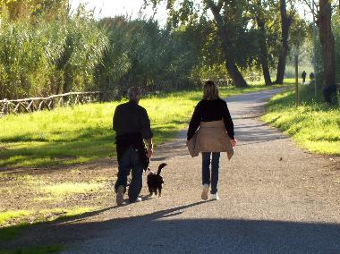 Villa /en/au Marina di Massa (Massa-Carrara)ou appartement ou maison de vacances