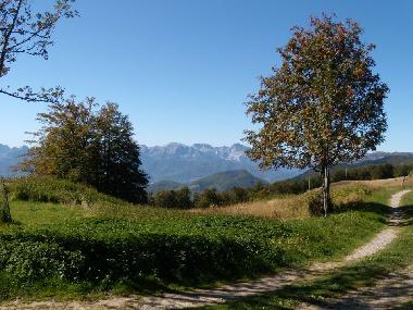 Villa /en/au Marina di Massa (Massa-Carrara)ou appartement ou maison de vacances