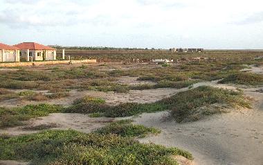 Maison de vacances �/en/au Morro / Maio (Maio)ou appartement ou maison de vacances