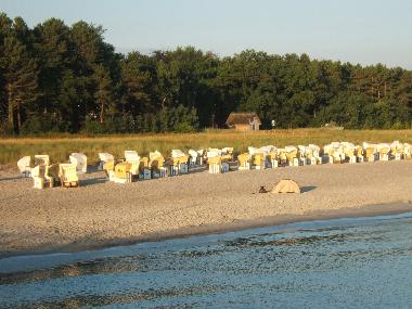 Appartement de vacances /en/au Zingst (Ostsee-Inseln)ou appartement ou maison de vacances