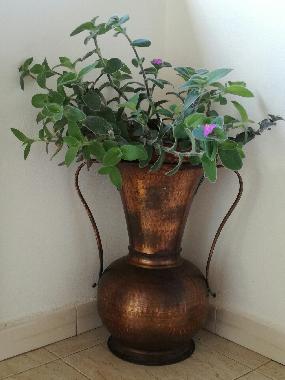 Appartement de vacances �/en/au Tropea (Vibo Valentia)ou appartement ou maison de vacances