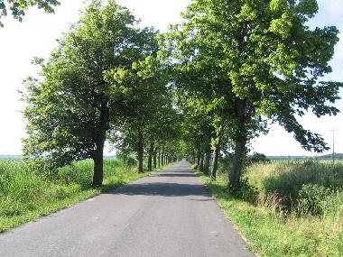 Maison de vacances /en/au mscice (Zachodniopomorskie)ou appartement ou maison de vacances