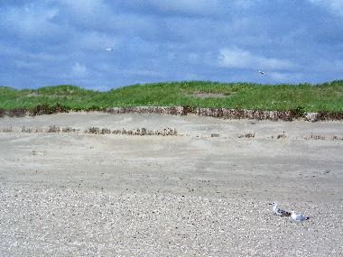 Maison de vacances /en/au Schoorldam-Warmenhuizen (Noord-Holland)ou appartement ou maison de vacances