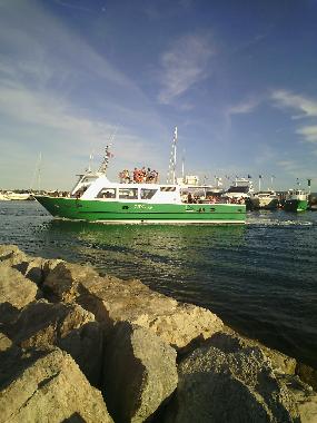 Appartement de vacances �/en/au sainte maxime (Var)ou appartement ou maison de vacances