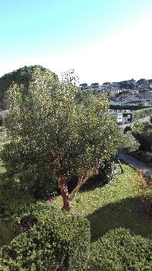 Appartement de vacances �/en/au sainte maxime (Var)ou appartement ou maison de vacances