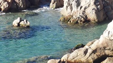 Appartement de vacances /en/au Platja d