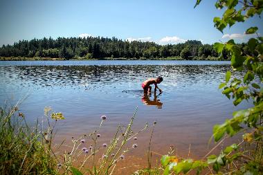 Maison de vacances �/en/au chambon sur lignon (Haute-Loire)ou appartement ou maison de vacances