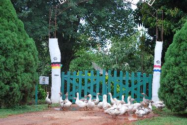 Maison de vacances �/en/au Villeta (Central)ou appartement ou maison de vacances