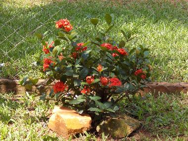 Maison de vacances �/en/au Villeta (Central)ou appartement ou maison de vacances