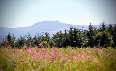 Maison de vacances �/en/au chambon sur lignon (Haute-Loire)ou appartement ou maison de vacances