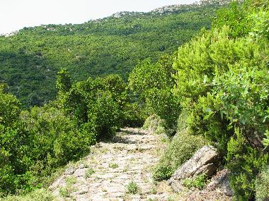 Appartement de vacances �/en/au cavo rio marina (Livorno)ou appartement ou maison de vacances