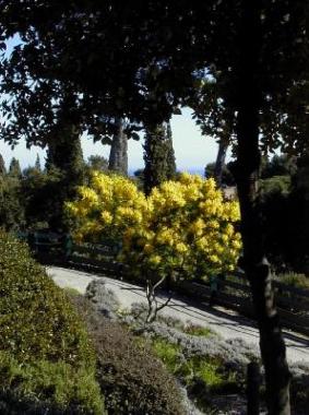 Maison de vacances �/en/au Golfe Juan (Alpes-Maritimes)ou appartement ou maison de vacances