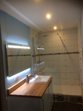 Appartement de vacances /en/au 76000 (Seine-Maritime)ou appartement ou maison de vacances