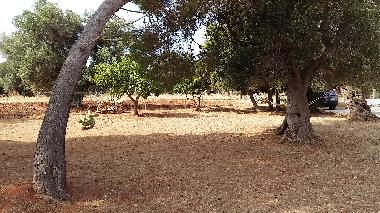 Maison de vacances �/en/au SERRANOVA (Brindisi)ou appartement ou maison de vacances