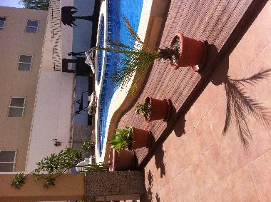 Appartement de vacances �/en/au almoradi (Alicante / Alacant)ou appartement ou maison de vacances