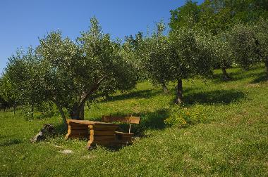 Appartement de vacances /en/au Ripatransone (Ascoli Piceno)ou appartement ou maison de vacances