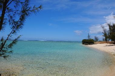 Maison de vacances �/en/au Le Morne (Black River)ou appartement ou maison de vacances