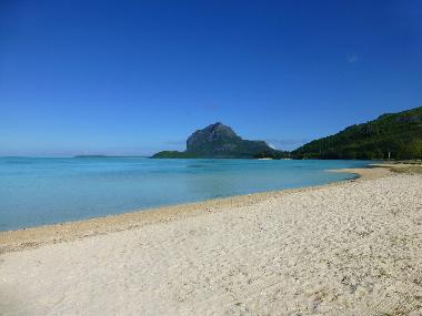Maison de vacances �/en/au Le Morne (Black River)ou appartement ou maison de vacances