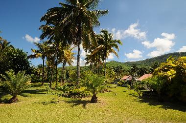 Maison de vacances �/en/au Le Morne (Black River)ou appartement ou maison de vacances