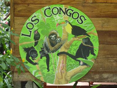 Maison de vacances �/en/au Puerto Viejo/Cocles (Limon)ou appartement ou maison de vacances