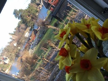 Maison de vacances �/en/au Vaxholm (Stockholm)ou appartement ou maison de vacances