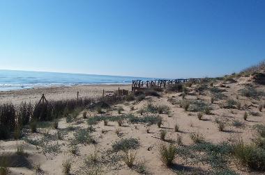 Appartement de vacances /en/au Guardamar del Segura (Alicante / Alacant)ou appartement ou maison de vacances