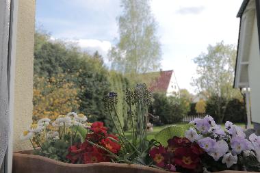 Maison de vacances /en/au Lbben (Spreewald) (Dahme-Spreewald)ou appartement ou maison de vacances