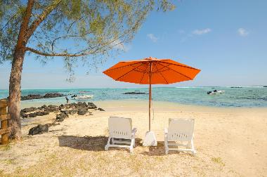 Maison de vacances /en/au Roches Noires (Riviere du Rempart)ou appartement ou maison de vacances