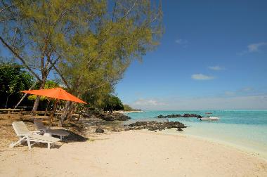 Maison de vacances /en/au Roches Noires (Riviere du Rempart)ou appartement ou maison de vacances