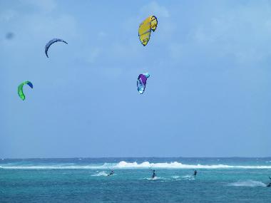Maison de vacances /en/au Roches Noires (Riviere du Rempart)ou appartement ou maison de vacances
