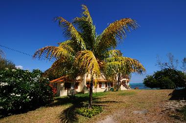 Maison de vacances /en/au Roches Noires (Riviere du Rempart)ou appartement ou maison de vacances