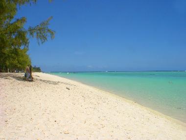 Maison de vacances /en/au Le Morne (Black River)ou appartement ou maison de vacances