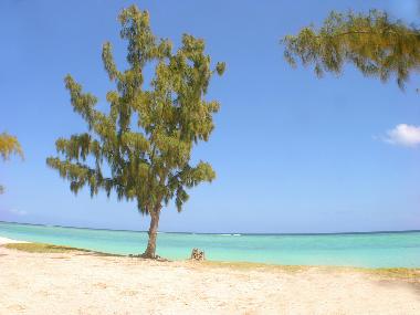 Maison de vacances /en/au Le Morne (Black River)ou appartement ou maison de vacances