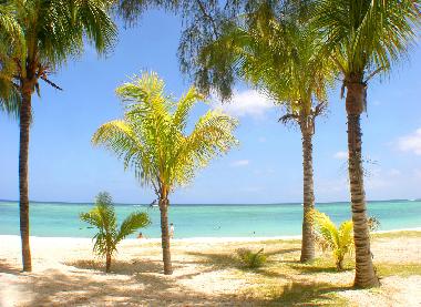 Villa /en/au Le Morne (Black River)ou appartement ou maison de vacances