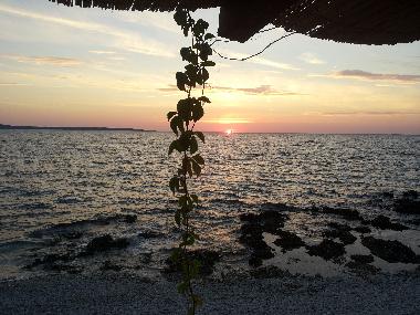 Maison de vacances �/en/au Island of Silba (Zadarska)ou appartement ou maison de vacances