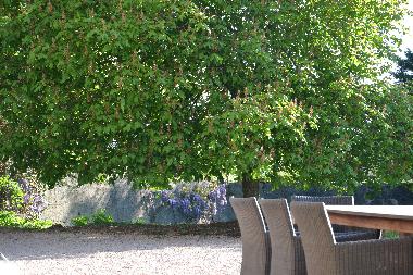 Maison de vacances /en/au La Pacaudiere (Loire)ou appartement ou maison de vacances