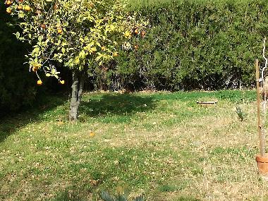 Appartement de vacances /en/au Maier (Cosenza)ou appartement ou maison de vacances