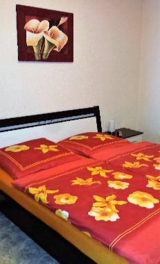 Maison de vacances /en/au Trier (Mosel - Saar)ou appartement ou maison de vacances