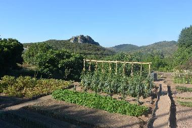 Maison de vacances /en/au Vailhan (Hrault)ou appartement ou maison de vacances