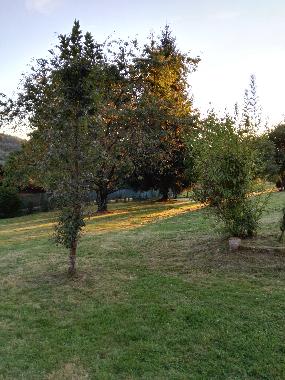 Maison de vacances �/en/au Faucompierre (Vosges)ou appartement ou maison de vacances