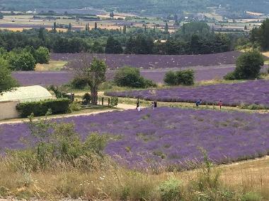 Maison de vacances /en/au St Pierre de Vassols (Vaucluse)ou appartement ou maison de vacances
